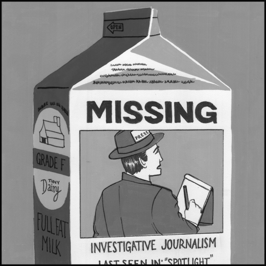 Missing-Investigative-Journalism